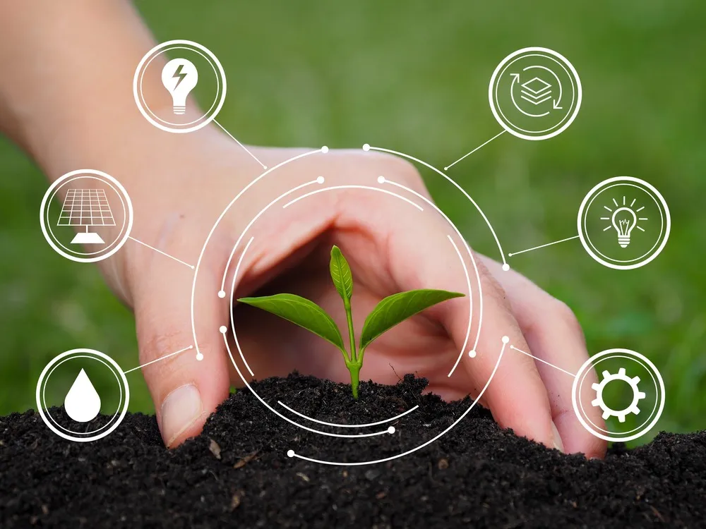 About Sahyadri Farms