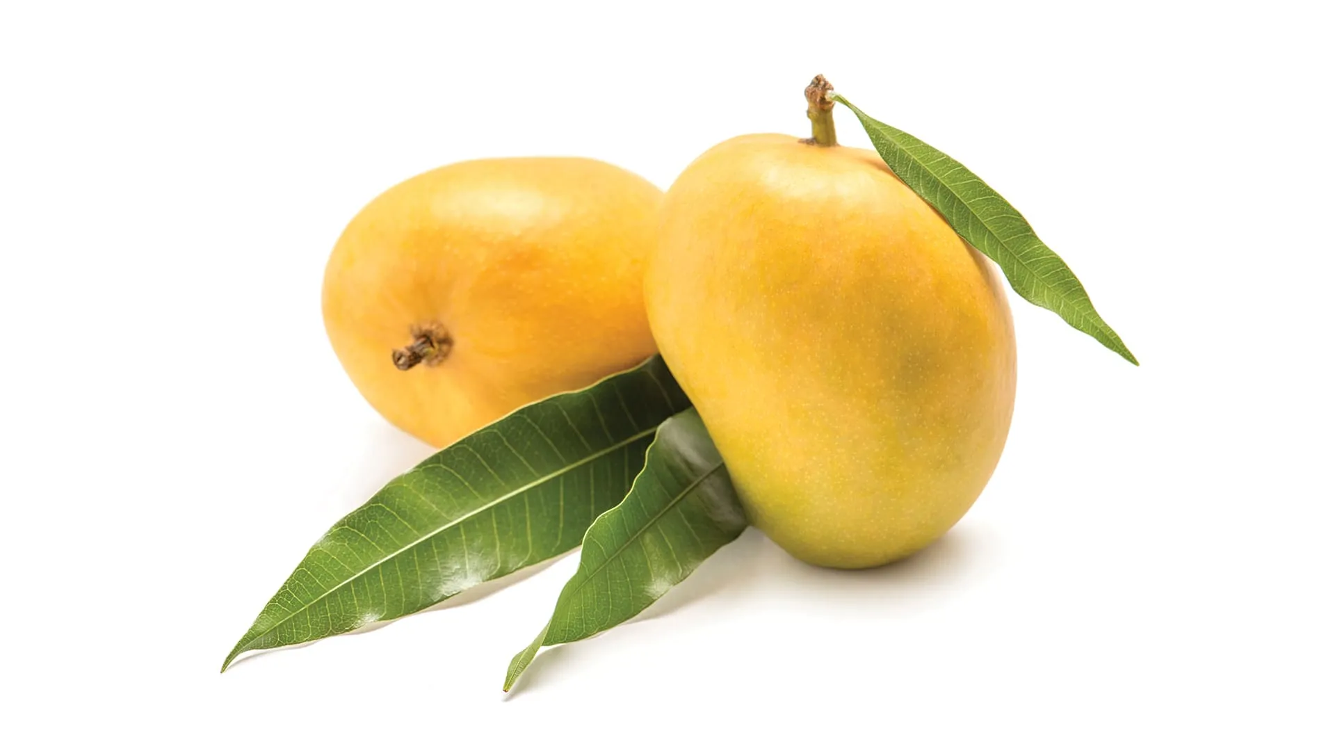 Mango Image